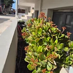Calmare Hotel Rethymno