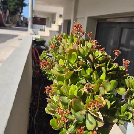 Calmare Hotel Rethymno